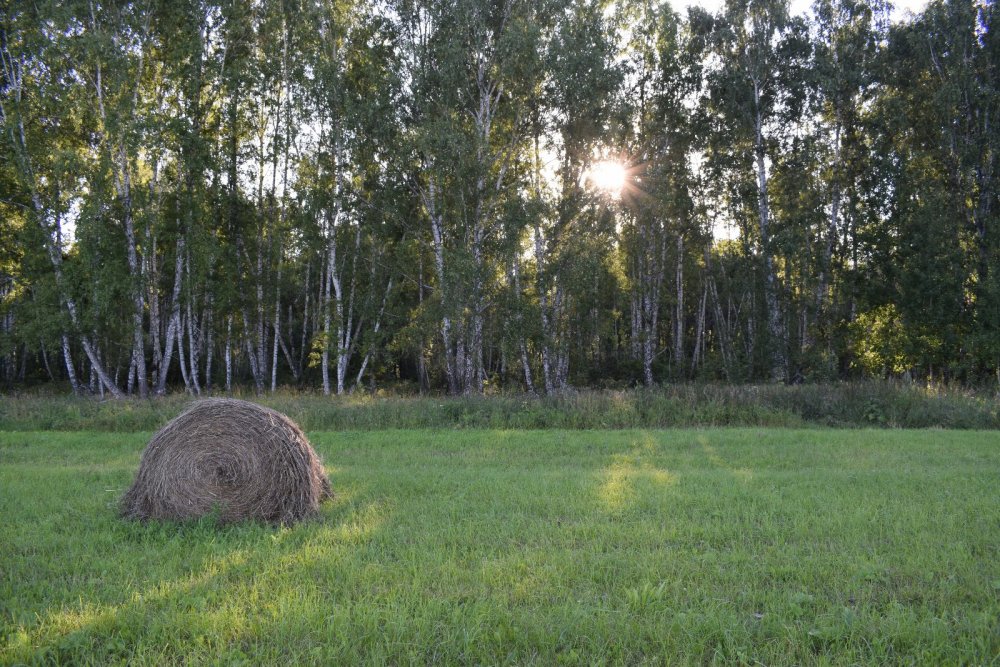 Закат на сенокосе.