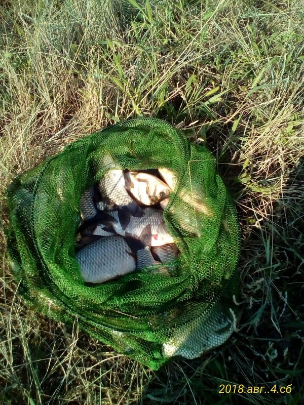 Рыбалим