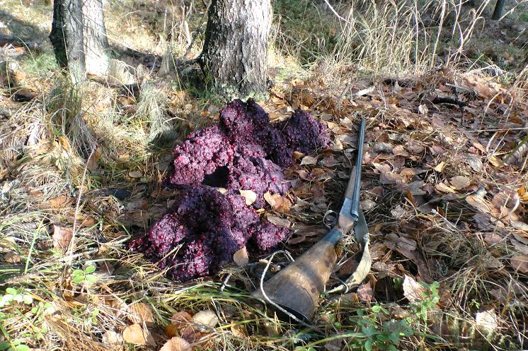 В здоровом теле, здоровый дух.