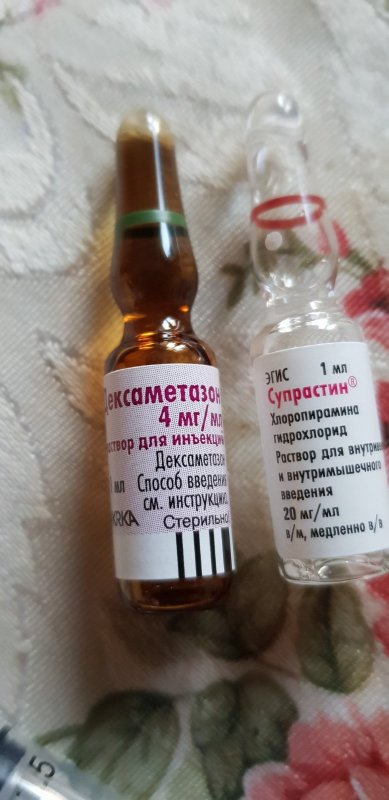 Две очень важных ампулы при укусе змеи