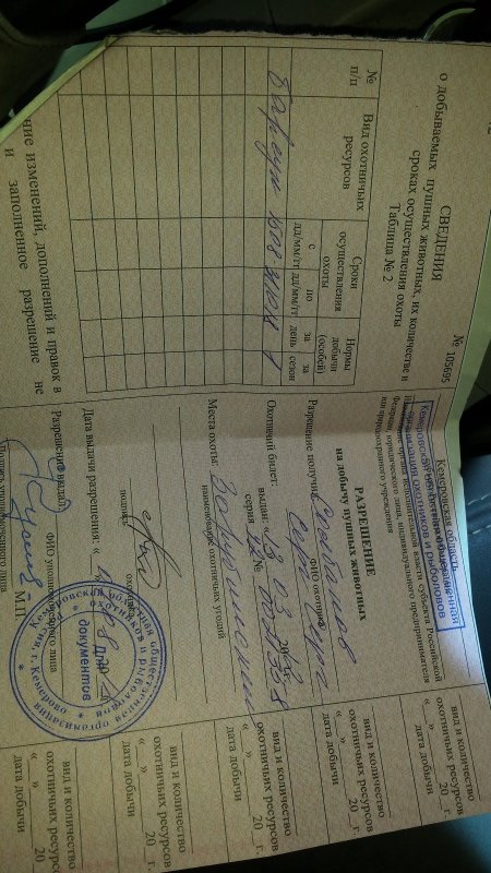 ждемс.