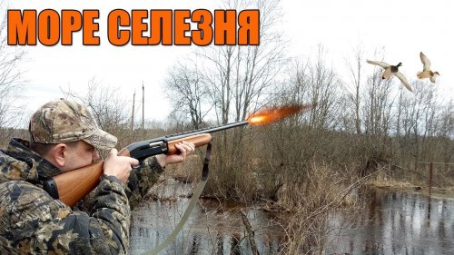 Море УТКИ!! Весна 2018
