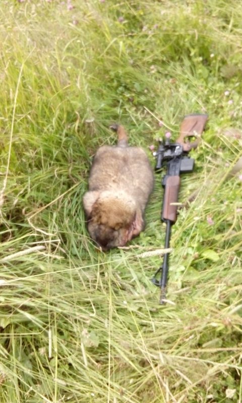 августовский