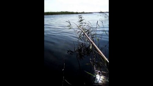 "Охота-Рыбалка в Алтайском крае"  Удачно половили карасиков!