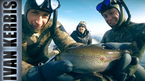 Лучшие выстрелы по лососевым 2018. Подводная охота на форель и хариуса в Енисее.