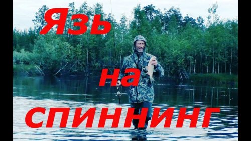Язь на спиннинг.