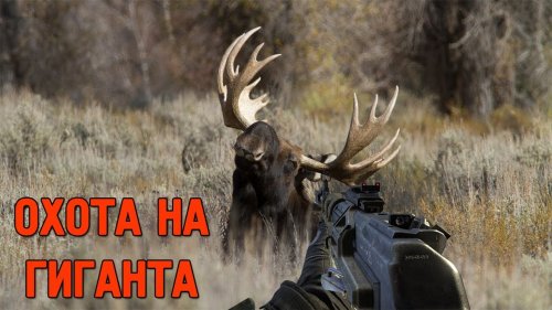 Охота на гиганта