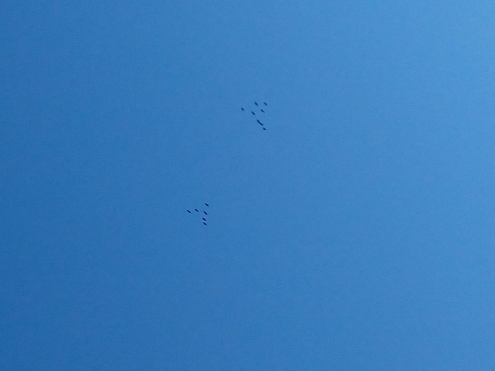19.08.2018