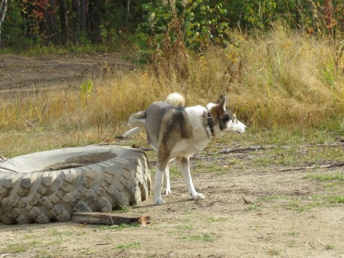 Городские привычки