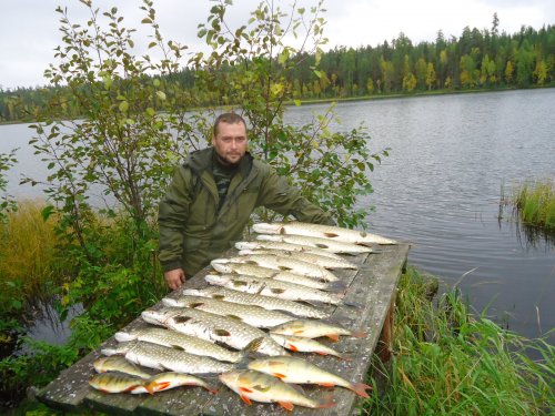 за три часа