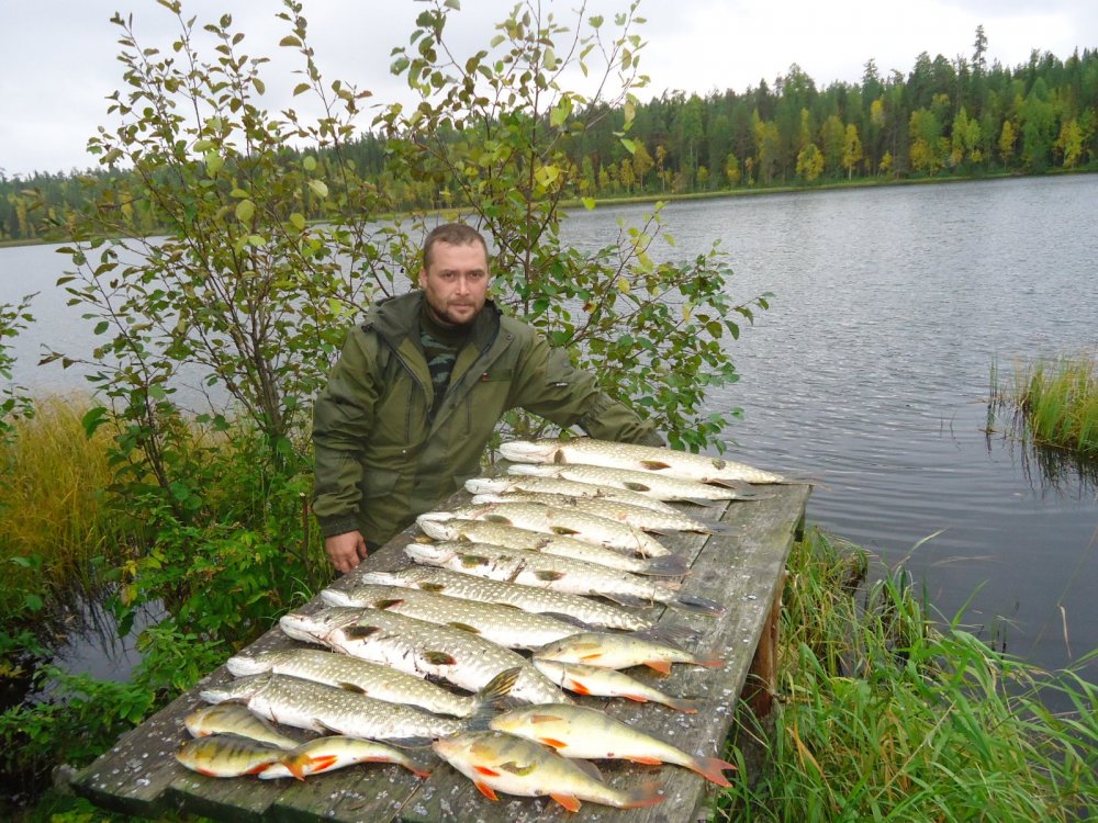 за три часа