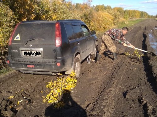 Взаимопонимание