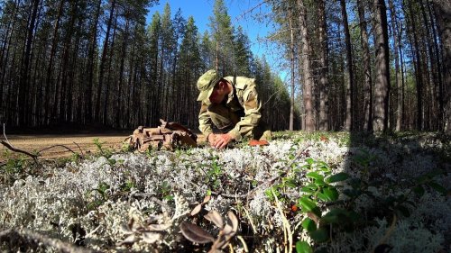 За белыми грибами да на разной технике 2018, осень. Белый бор, белый мох.