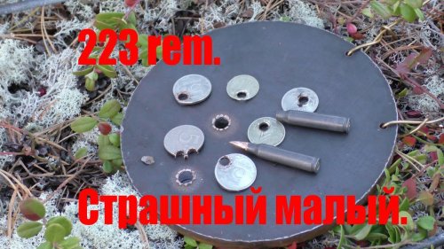 223 rem. пробивает сталь 10 мм.