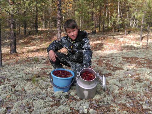 На боровой охоте