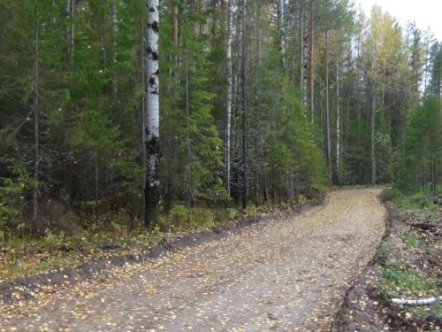 Утро в сентябре.