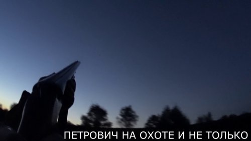 Вечерка-2018. 8 уток на  троих ))) за пол часа!