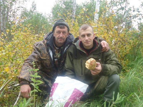 Осенние красоты!