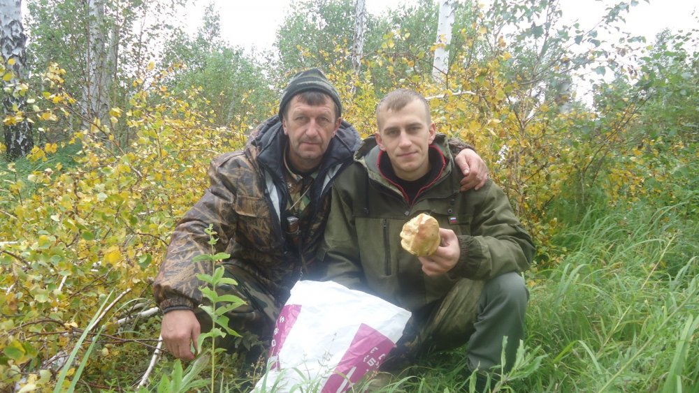 Осенние красоты!
