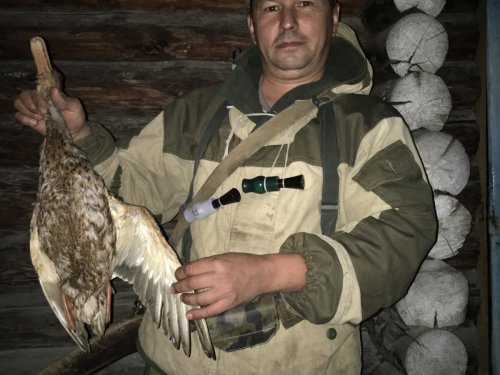 Очередная вечерка.