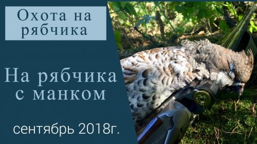 Охота на рябчика с манком. Маним рябчика.