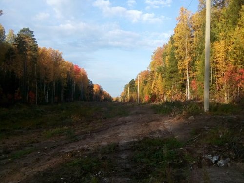 Золотая осень