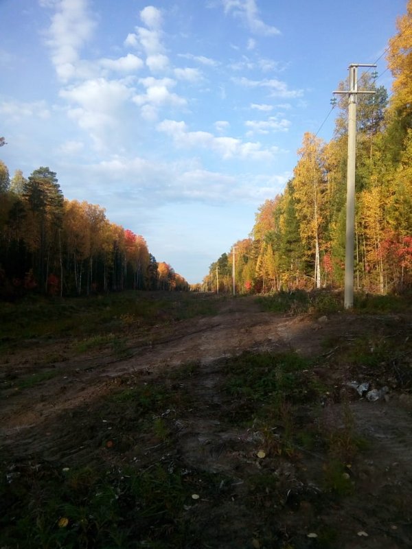 Золотая осень