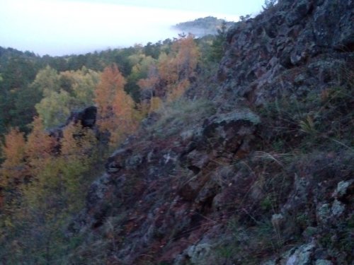 Скальник