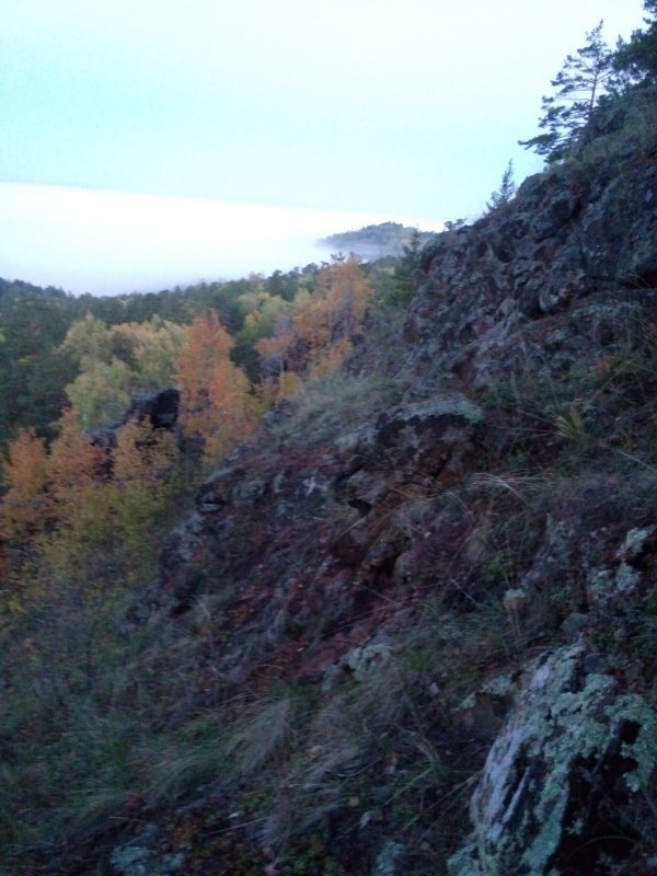 Скальник