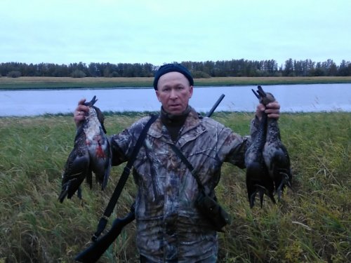 шилки один уже побелел