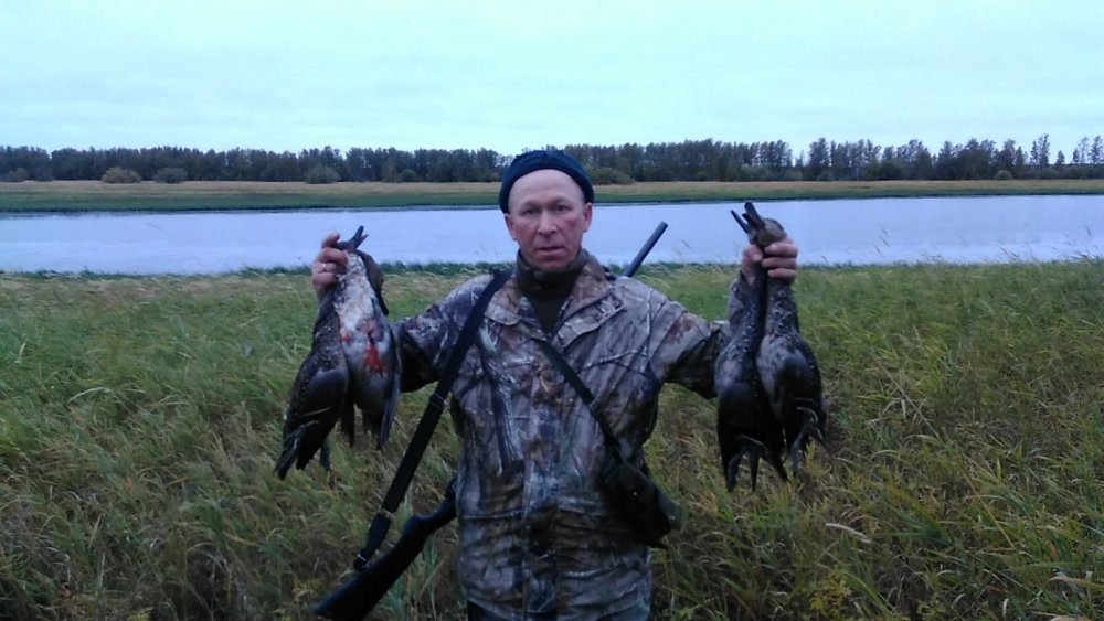 шилки один уже побелел