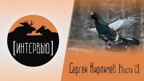Сергей Кирпичев. Глухарь. Часть 2 // Интервью # 1