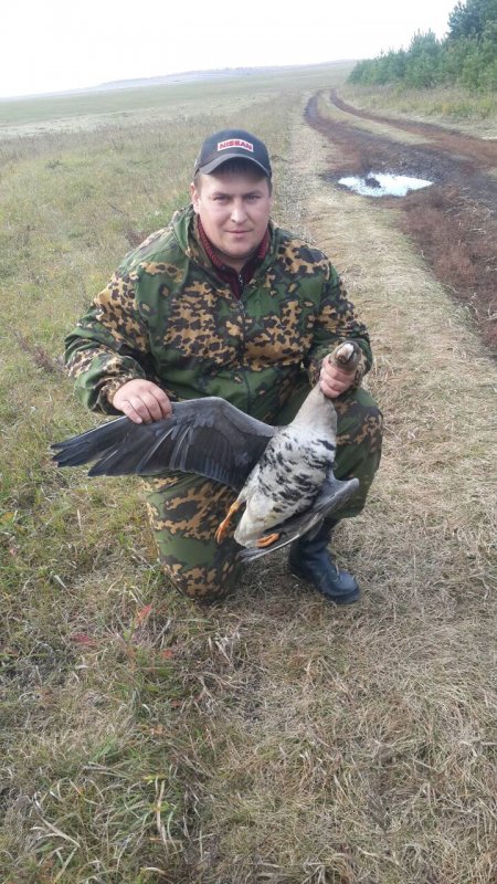 С почином!