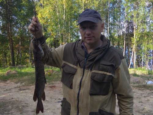 щука была поймана за зверское нападение на джиг.