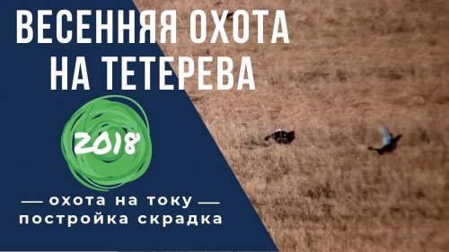 Весенняя охота на тетерева