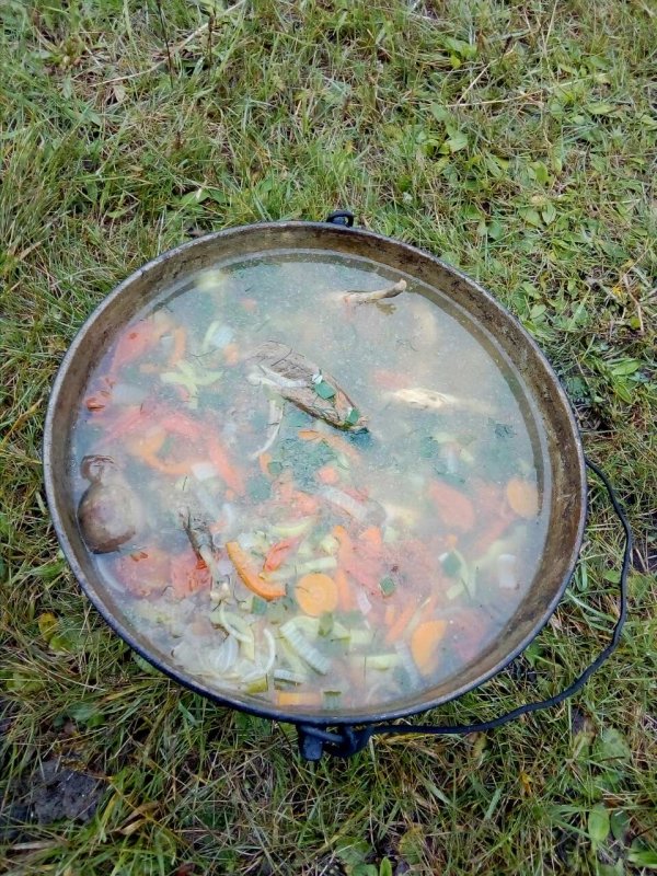 полевая еда