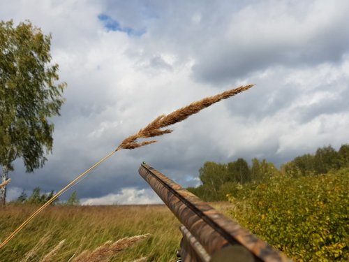 осень ...