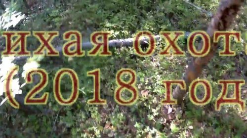 Тихая охота! _2018год