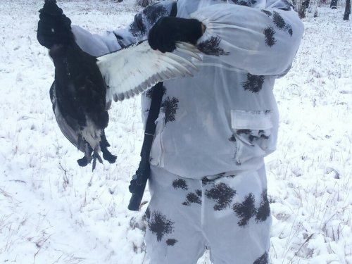 Из прошлых охот