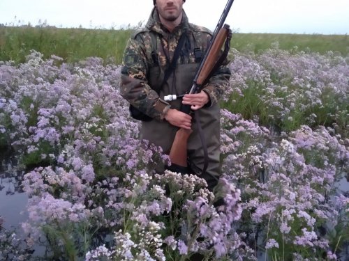 Цветы на болоте:)