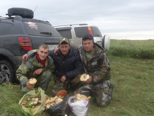 а у нас грибы!