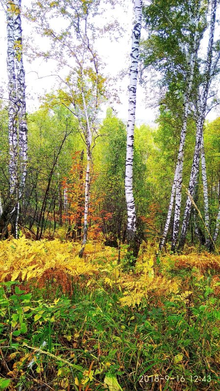 Осень
