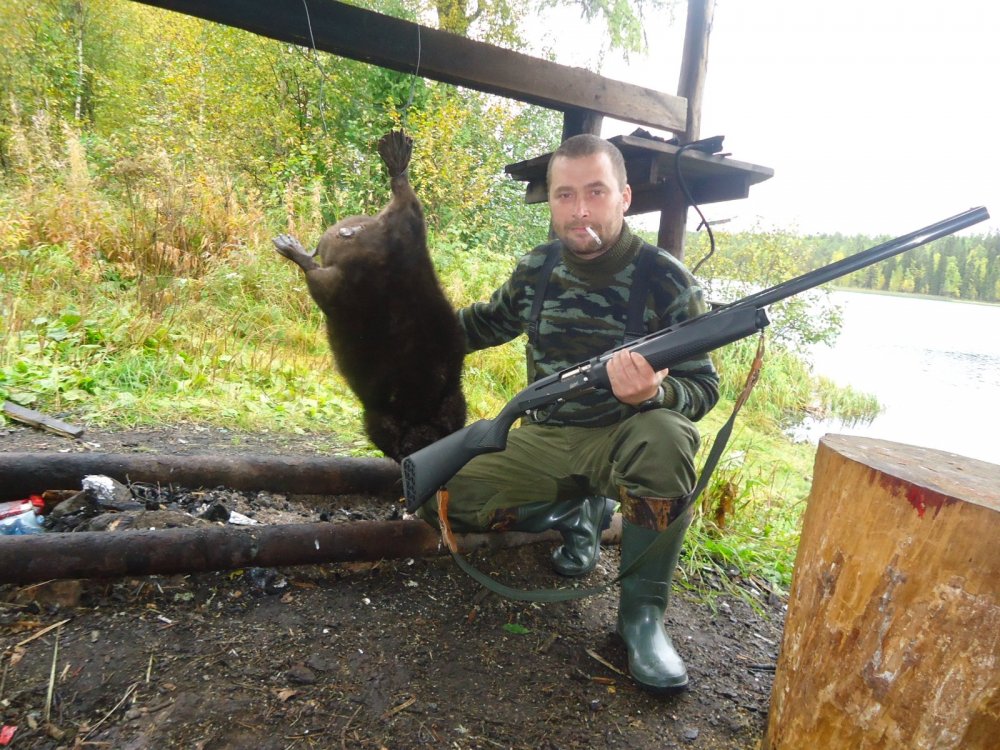 бобришка