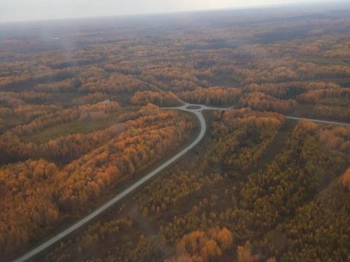 Колпашевское кольцо.
