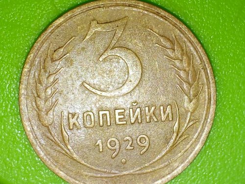 Ходили по грибы и нашли
