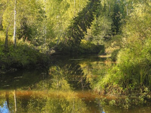 На рыбалке