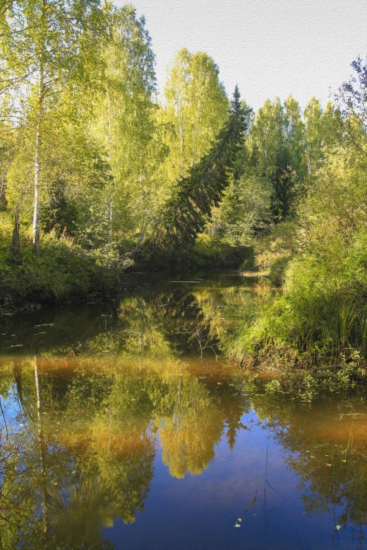На рыбалке