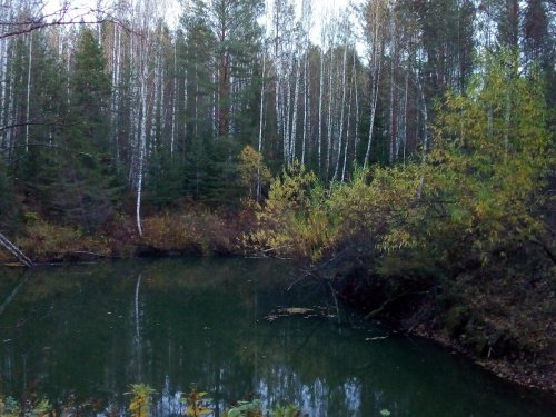 Маленькая таежная речка