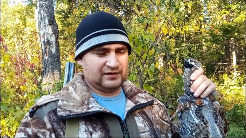 Открытие по боровой 2018. Охота на рябчика с подхода