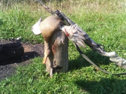 Утро